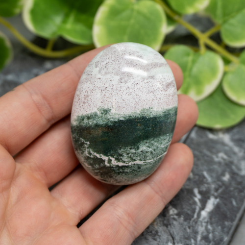 Unicorn Jasper Palmstone #5