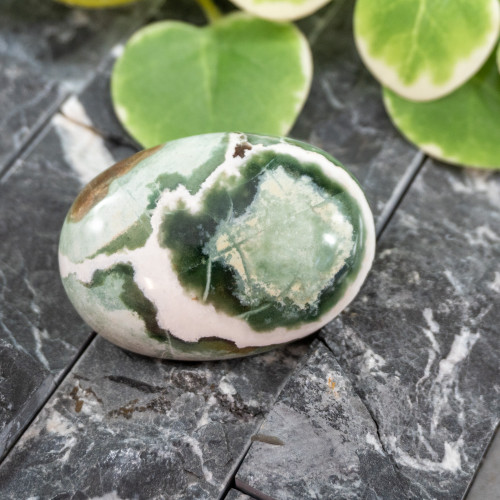 Unicorn Jasper Palmstone #4