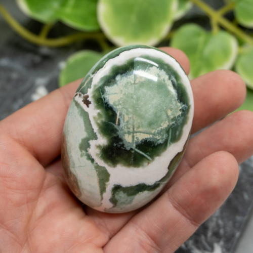 Unicorn Jasper Palmstone #4