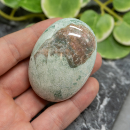 Unicorn Jasper Palmstone #4