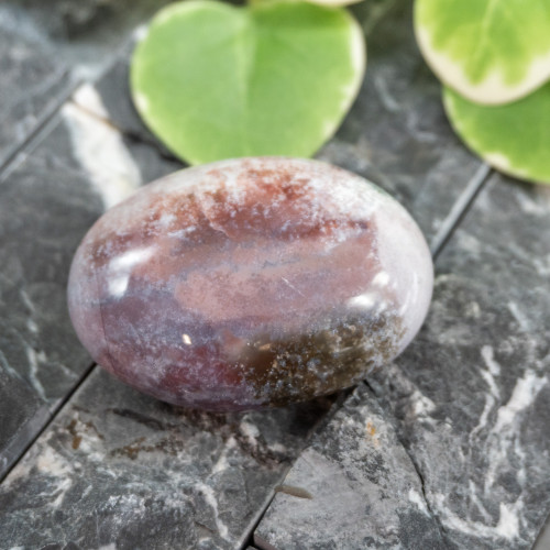 Unicorn Jasper Palmstone #3