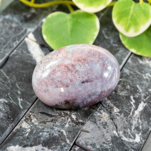 Unicorn Jasper Palmstone #3