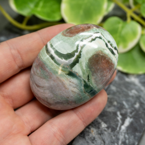 Unicorn Jasper Palmstone #2
