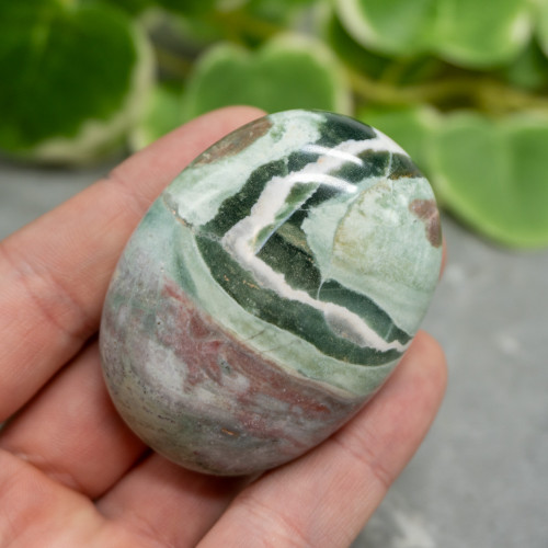 Unicorn Jasper Palmstone #1