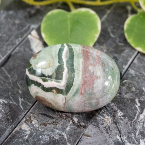 Unicorn Jasper Palmstone #1