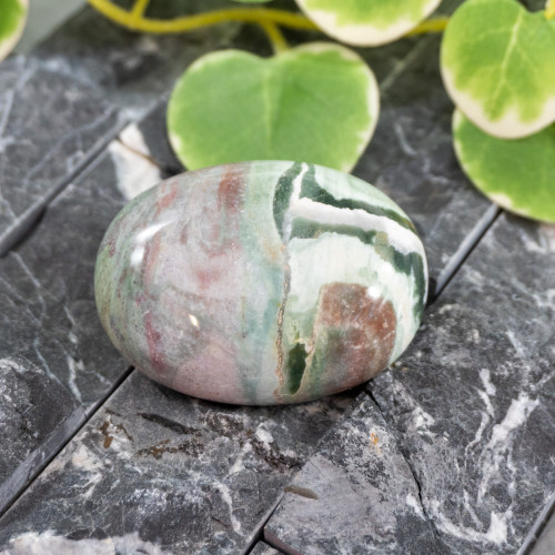 Unicorn Jasper Palmstone #1