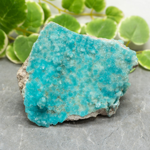 Blue Hemimorphite #21