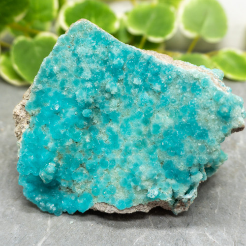 Blue Hemimorphite #21