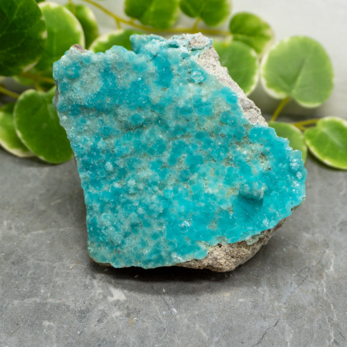 Blue Hemimorphite #21