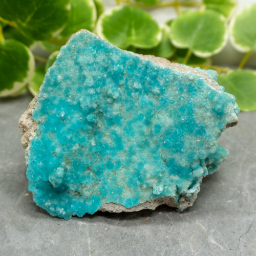 Blue Hemimorphite #21
