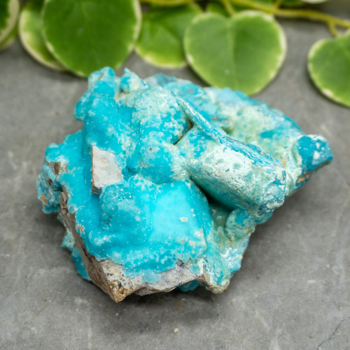 Blue Hemimorphite #20