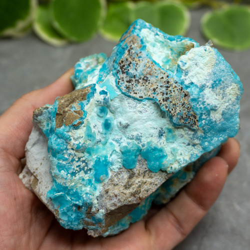 Blue Hemimorphite #20