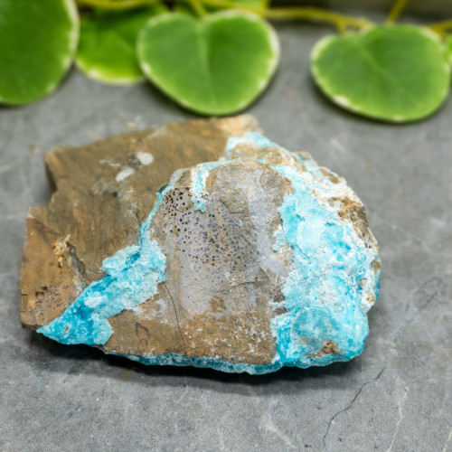 Blue Hemimorphite #18