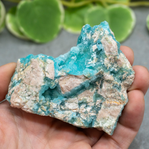 Blue Hemimorphite #17