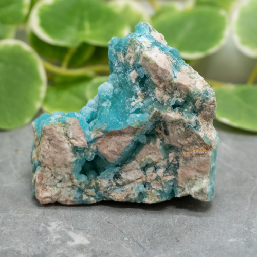 Blue Hemimorphite #17