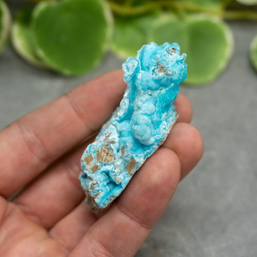 Blue Hemimorphite #12