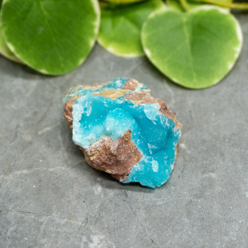 Blue Hemimorphite #8