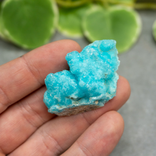 Blue Hemimorphite #6