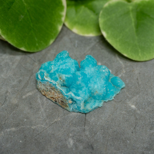 Blue Hemimorphite #6