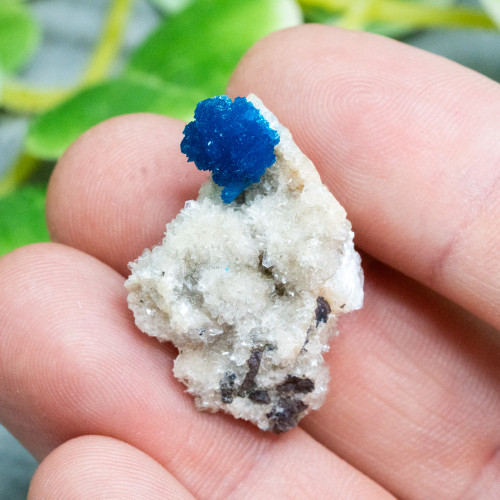 Cavansite A+ Quality #5