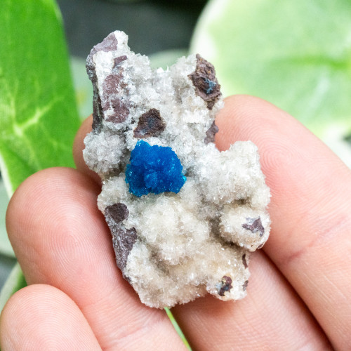 Cavansite A+ Quality #4