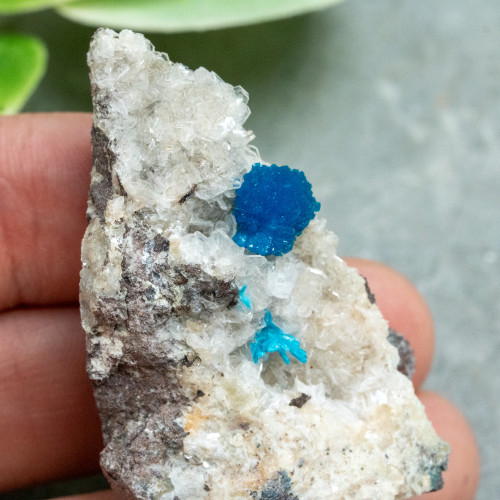 Cavansite A+ Quality #2