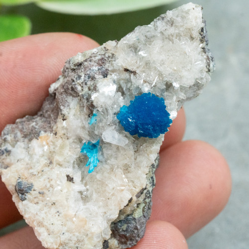Cavansite A+ Quality #2