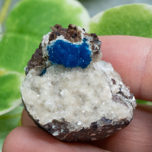 Cavansite A+ Quality #9