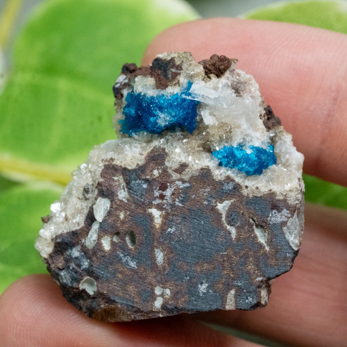 Cavansite A+ Quality #9