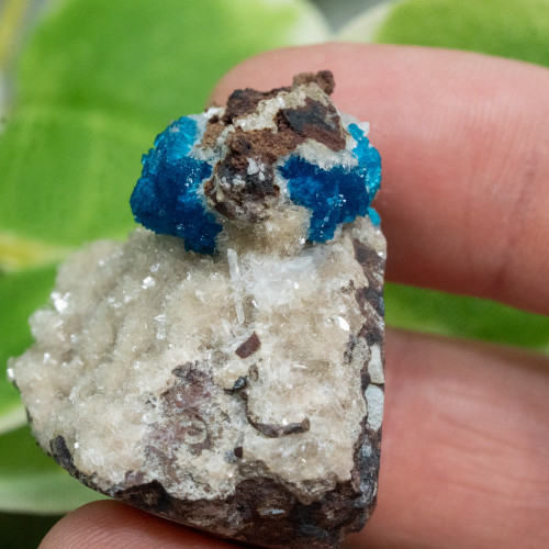 Cavansite A+ Quality #9