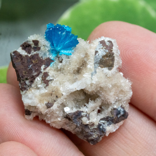 Cavansite A+ Quality #8