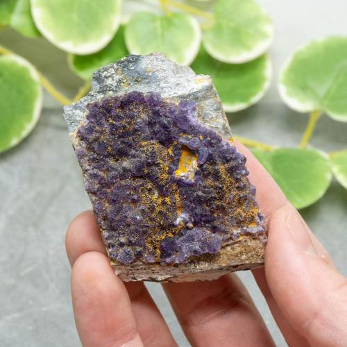 Purple Fluorite on Wulfenite, Mimetite, and Aragonite #1
