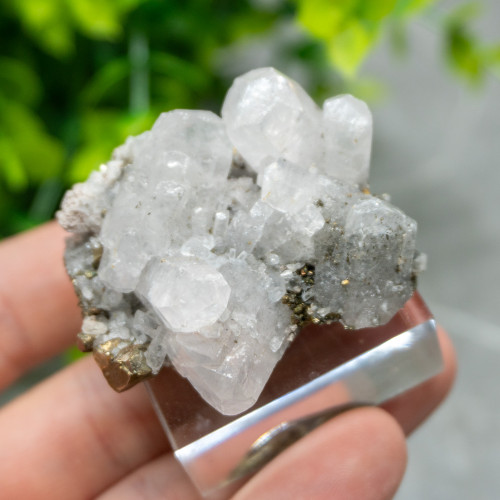 Mangano Calcite on Pyrite on stand #7