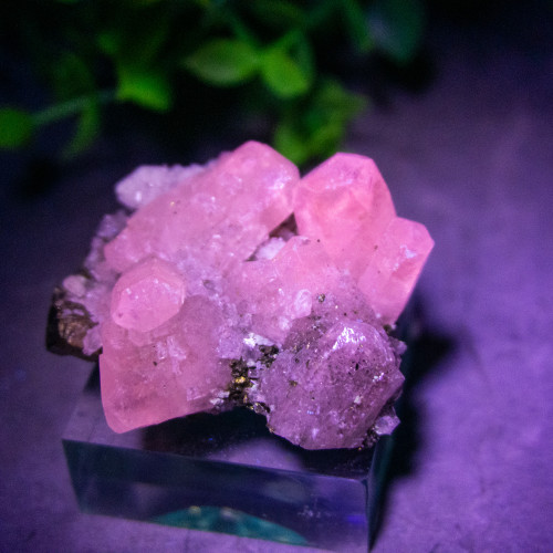 Mangano Calcite on Pyrite on stand #7