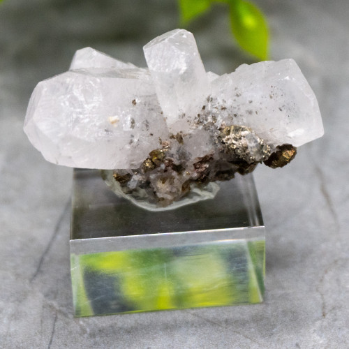 Mangano Calcite on Pyrite on stand #6