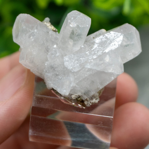 Mangano Calcite on Pyrite on stand #6