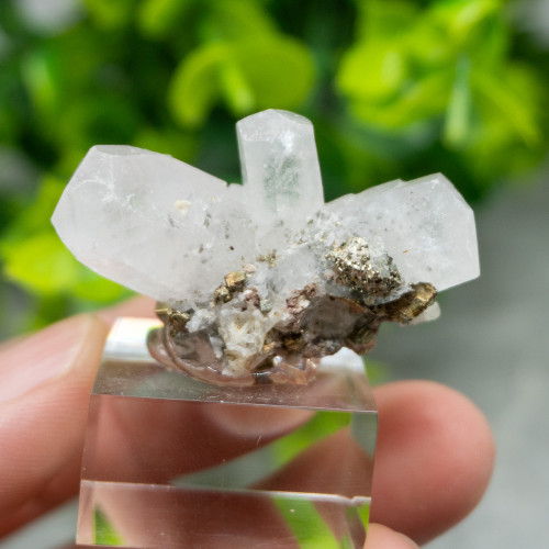 Mangano Calcite on Pyrite on stand #6
