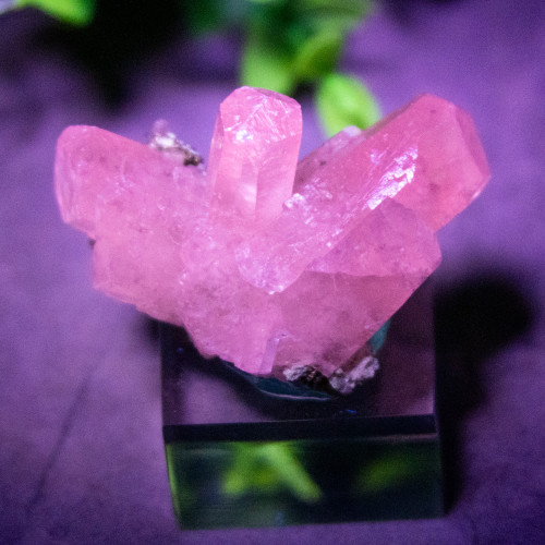 Mangano Calcite on Pyrite on stand #6