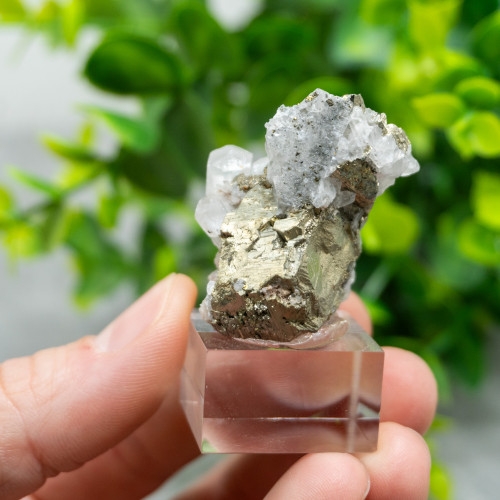 Mangano Calcite on Pyrite on stand #5