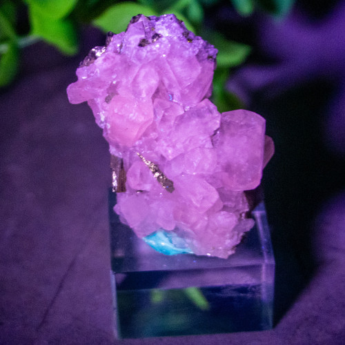 Mangano Calcite on Pyrite on stand #5