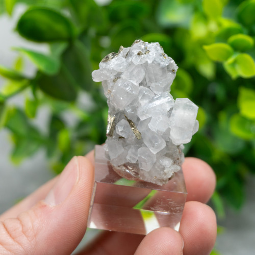 Mangano Calcite on Pyrite on stand #5