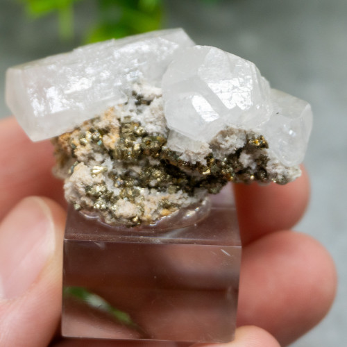 Mangano Calcite on Pyrite on stand #4