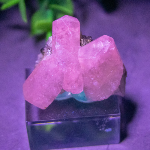 Mangano Calcite on Pyrite on stand #3