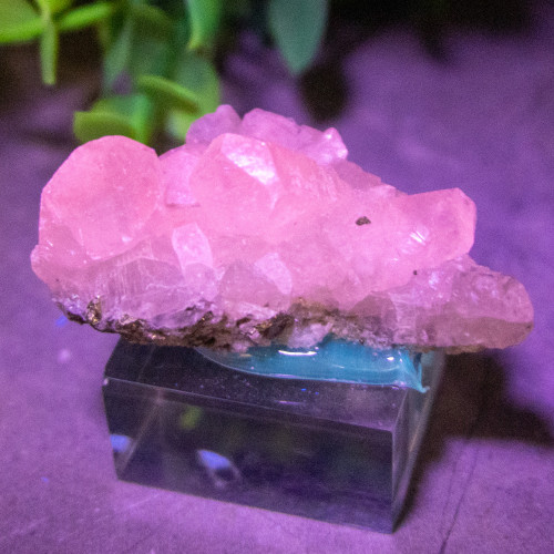 Mangano Calcite on Pyrite on stand #1