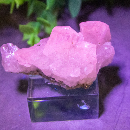 Mangano Calcite on Pyrite on stand #1