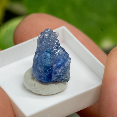 Tanzanite #1