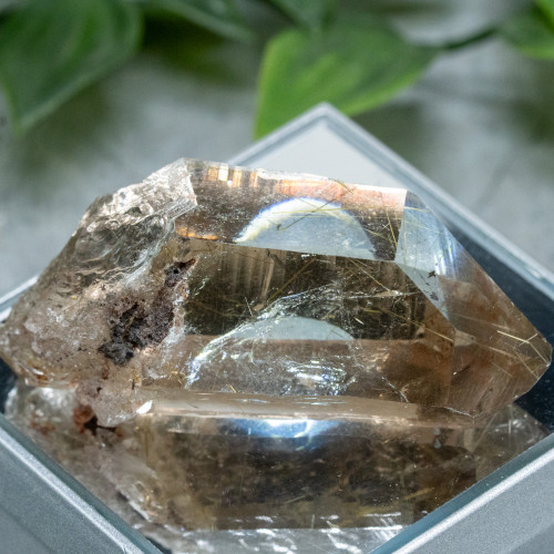 Rutile in Quartz #11