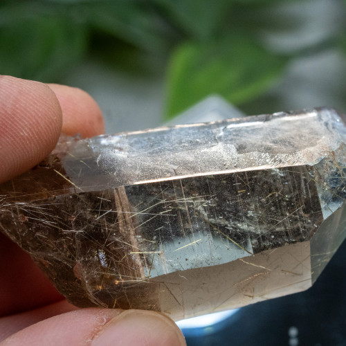 Rutile in Quartz #11