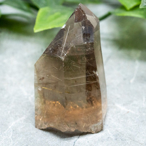 Rutile in Quartz #10