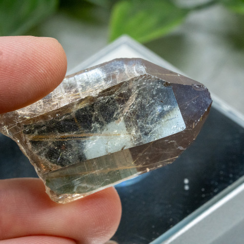 Rutile in Quartz #10